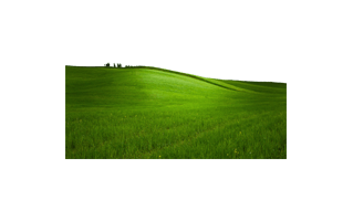 Green Background PNG