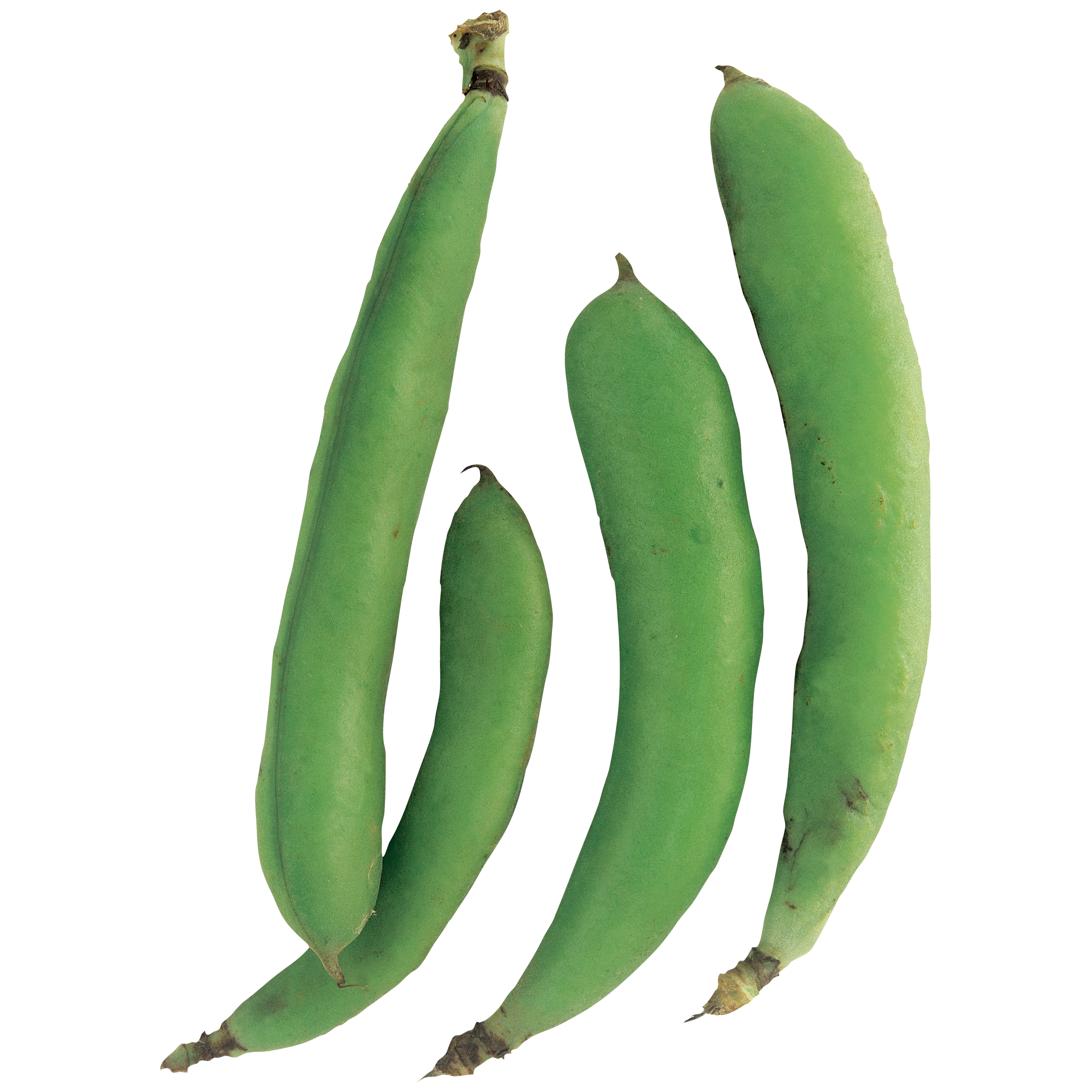 Green Bean Transparent Image