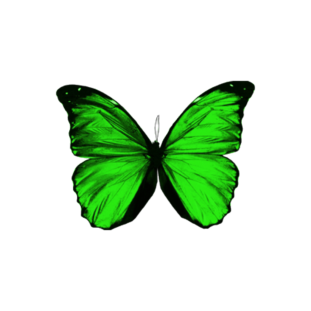 Green Butterfly Transparent Image