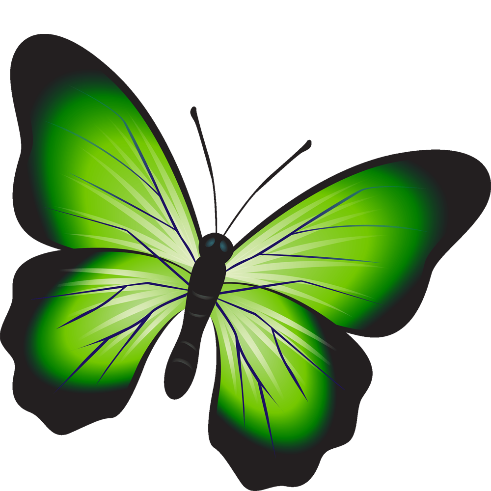 Green Butterfly Transparent Picture