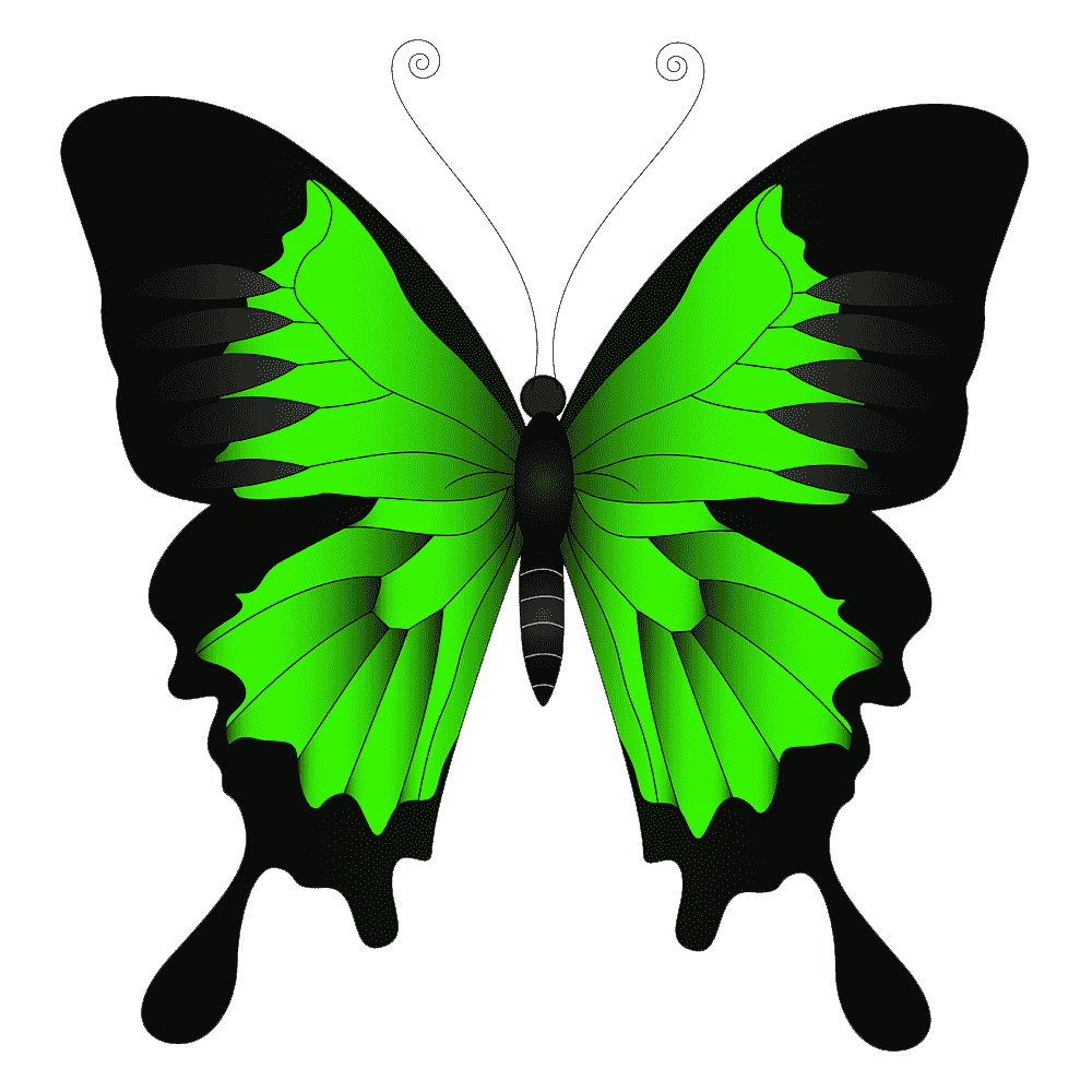 Green Butterfly Transparent Clipart