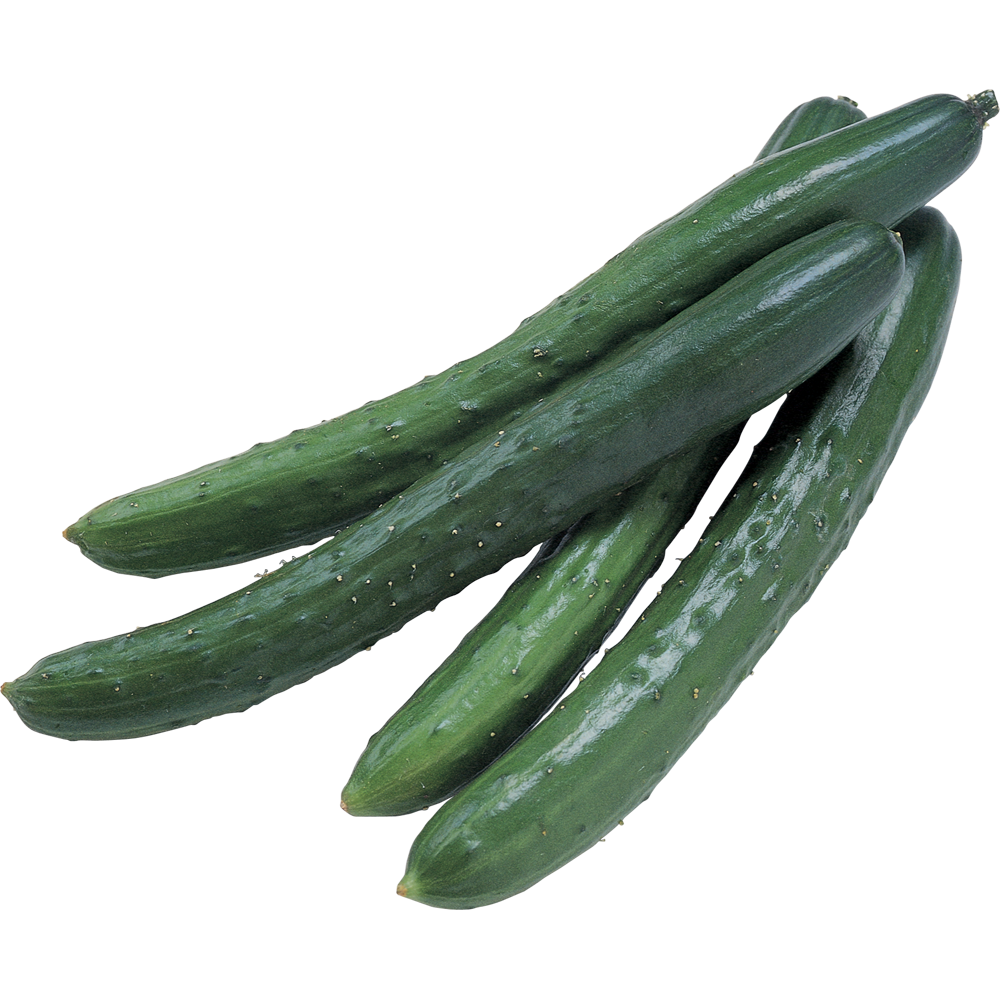 Green Cucumber  Transparent Picture
