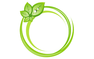 Green Frame PNG