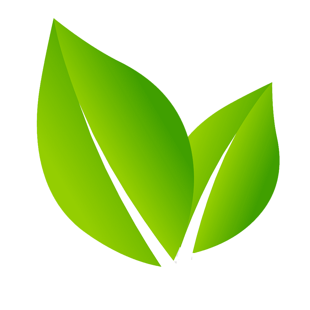 Green Leaf Logo Transparent Picture