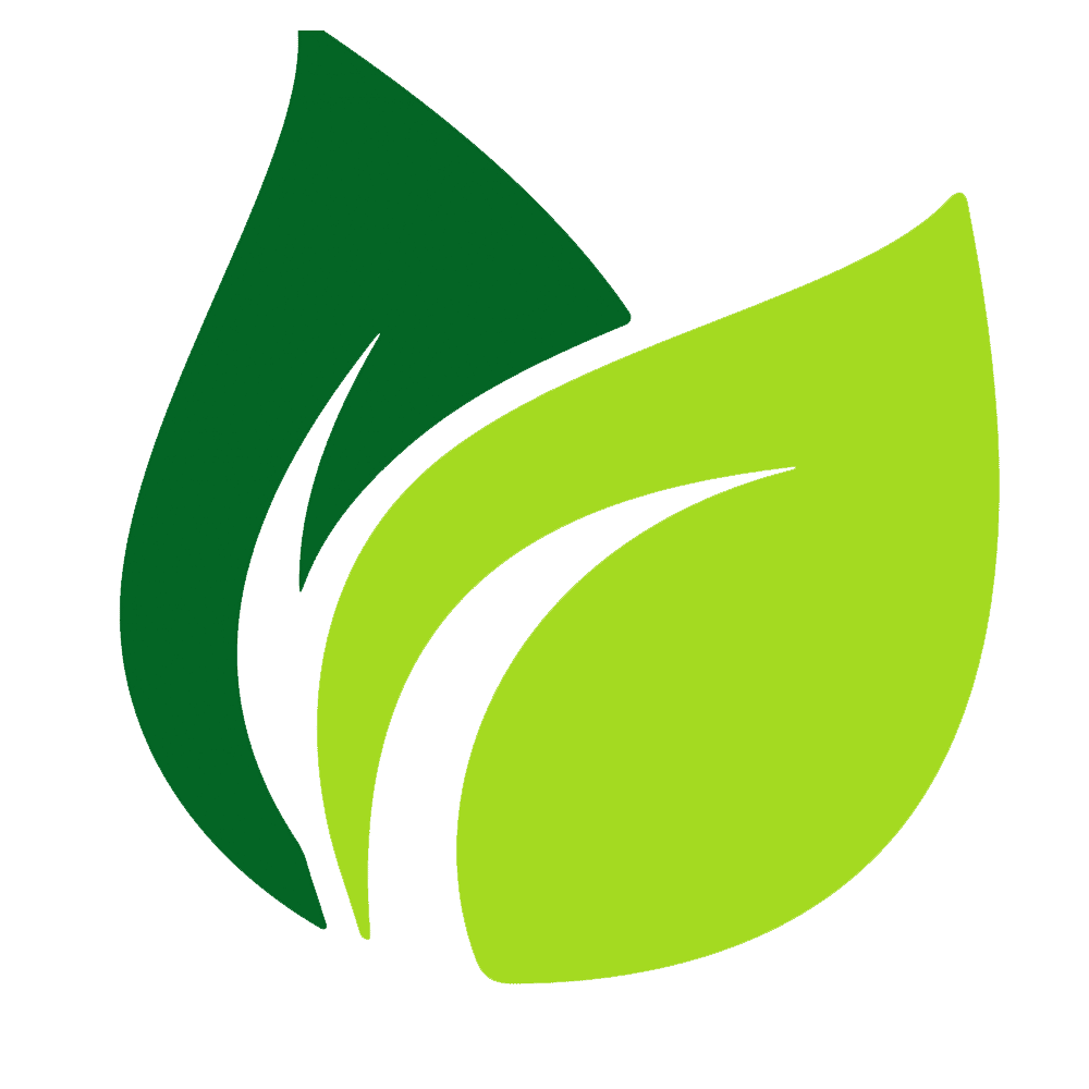 Green Leaf Logo  Transparent Clipart