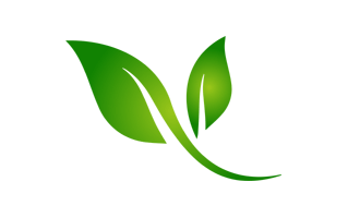 Green Leaf Logo PNG