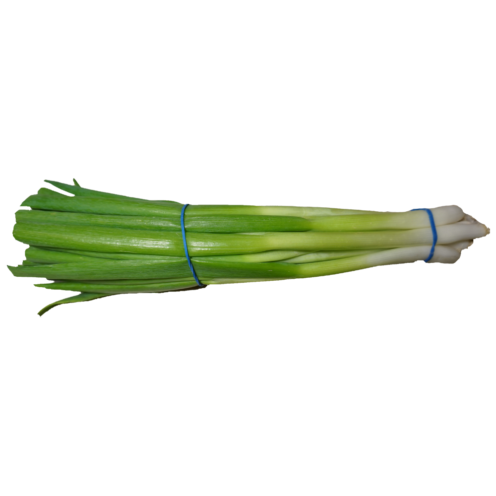 Green Onions  Transparent Photo