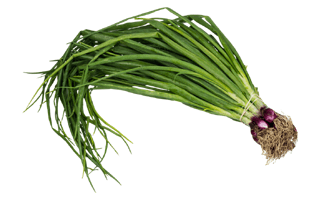 Green Onions PNG