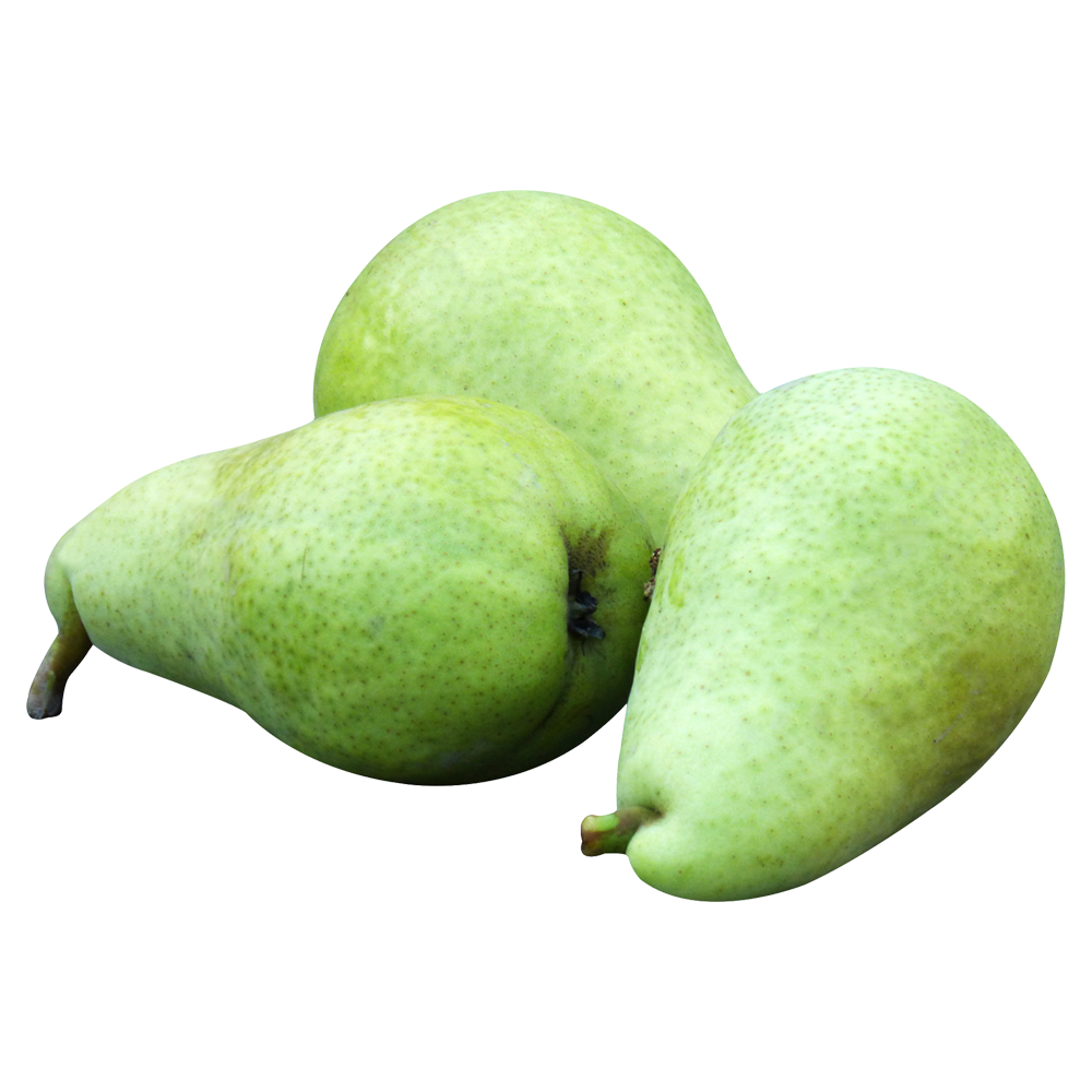 Green Pear  Transparent Clipart