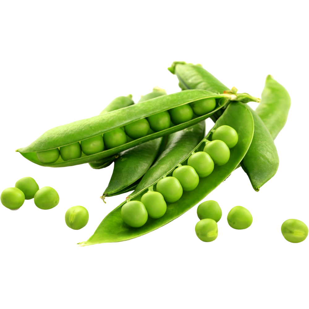 Green Peas  Transparent Clipart