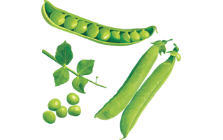 Green Peas PNG