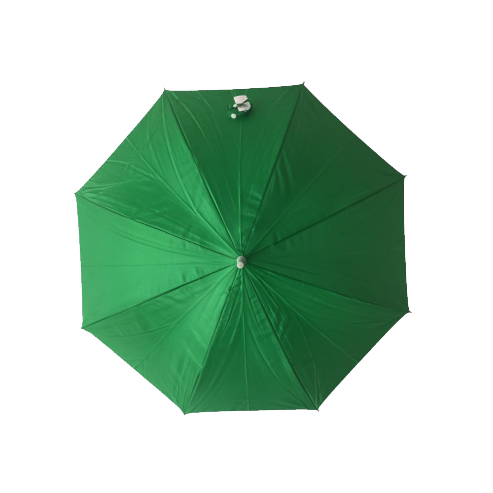 Green Umbrella Transparent Gallery