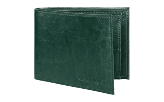 Green Wallet PNG