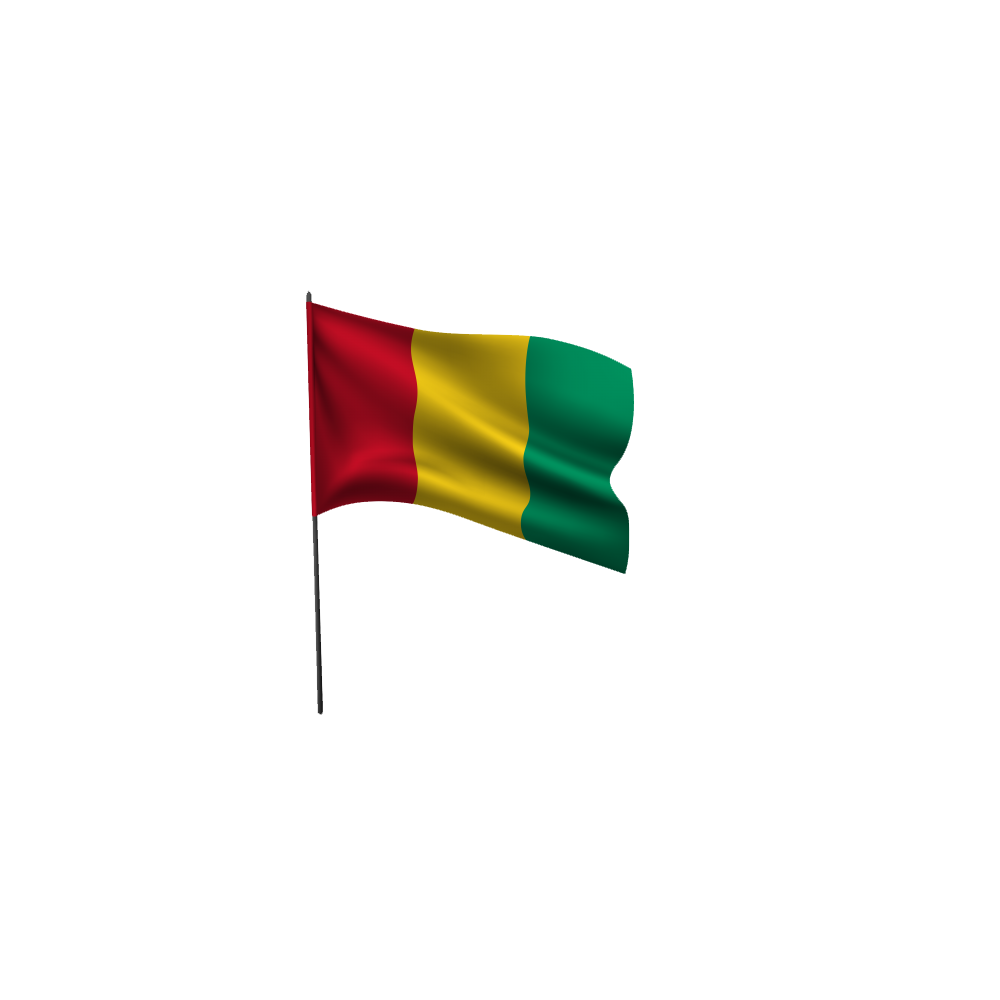 Guinea Flag Transparent Image