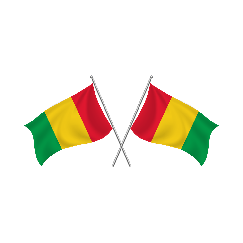 Guinea Flag Transparent Picture