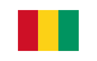 Guinea Flag PNG