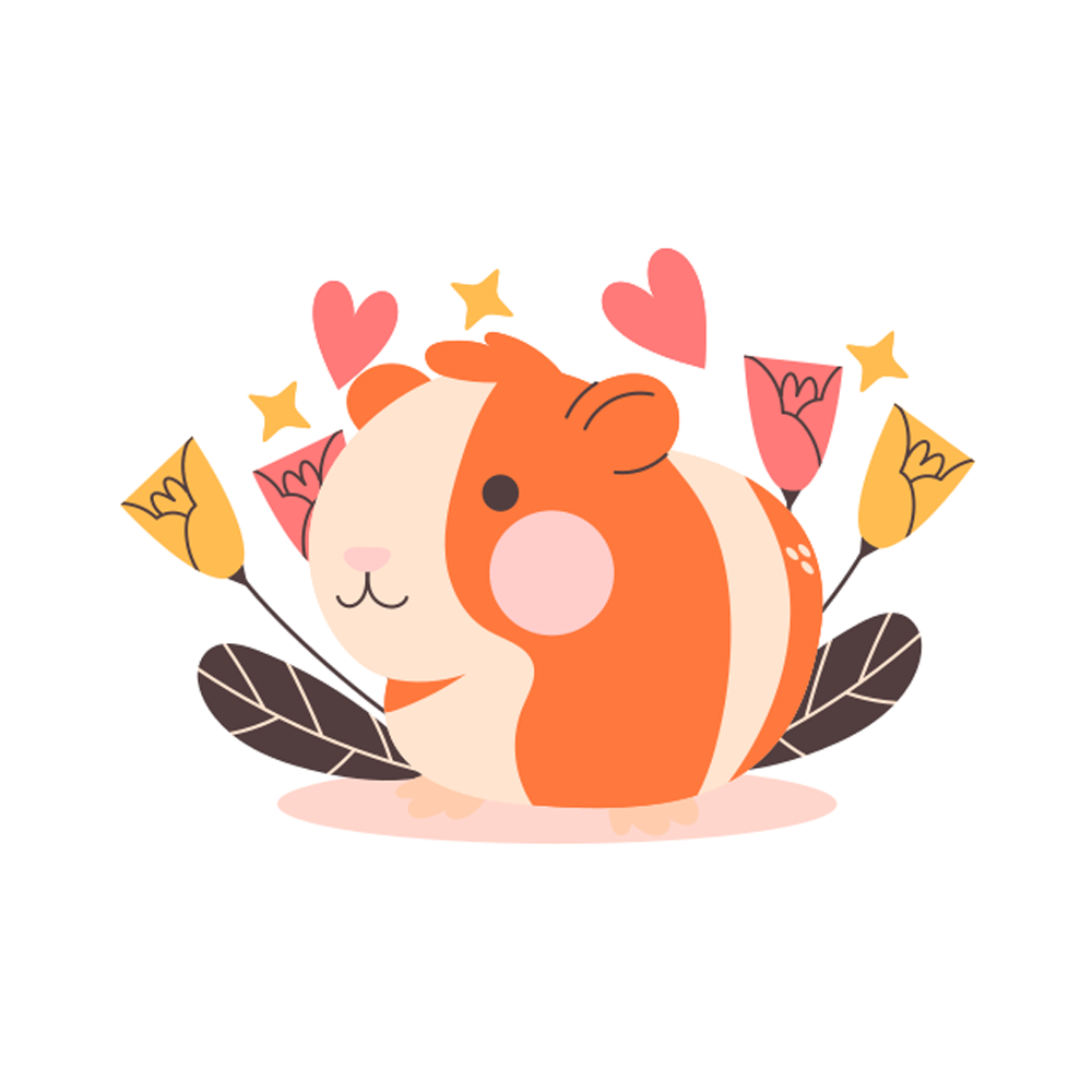 Guinea Pig Free Sticker Transparent Gallery