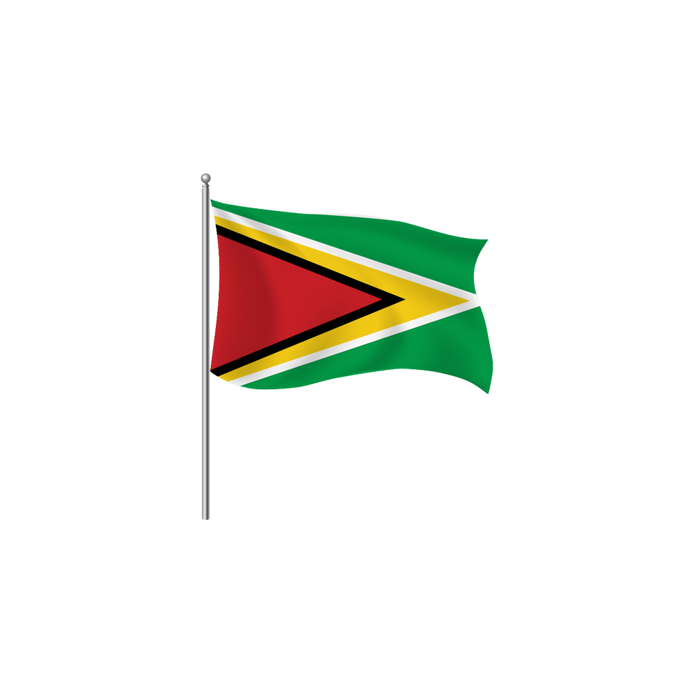 Guyana Flag Transparent Clipart
