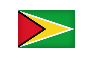 Guyana Flag PNg