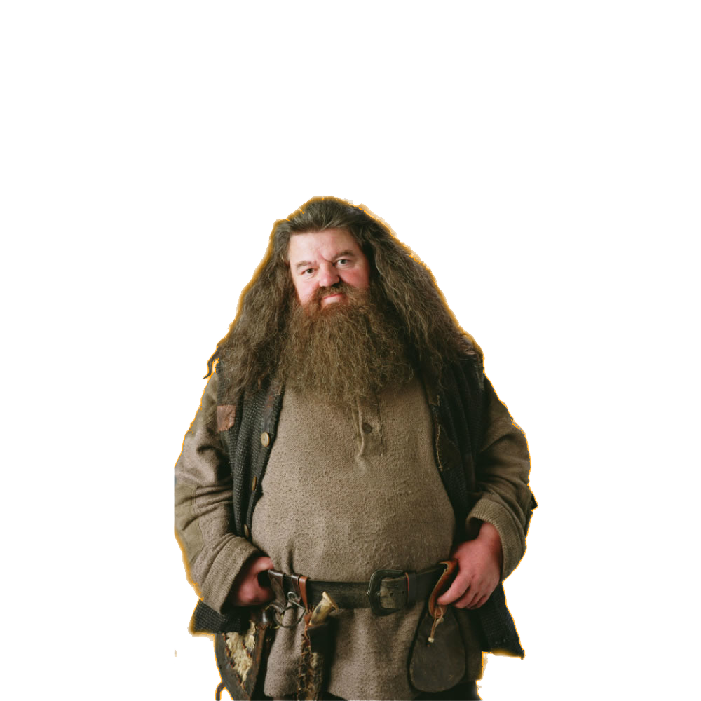 Hagrid Transparent Photo