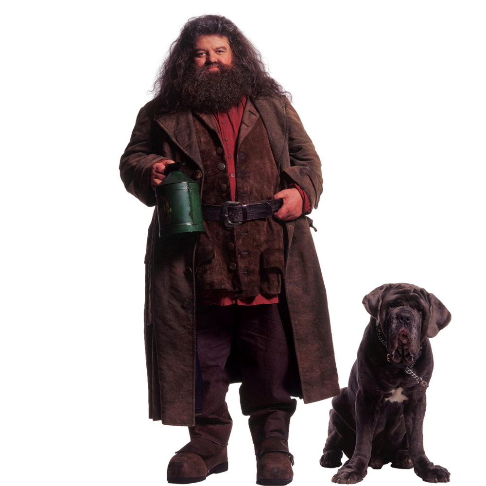 Hagrid Transparent Picture