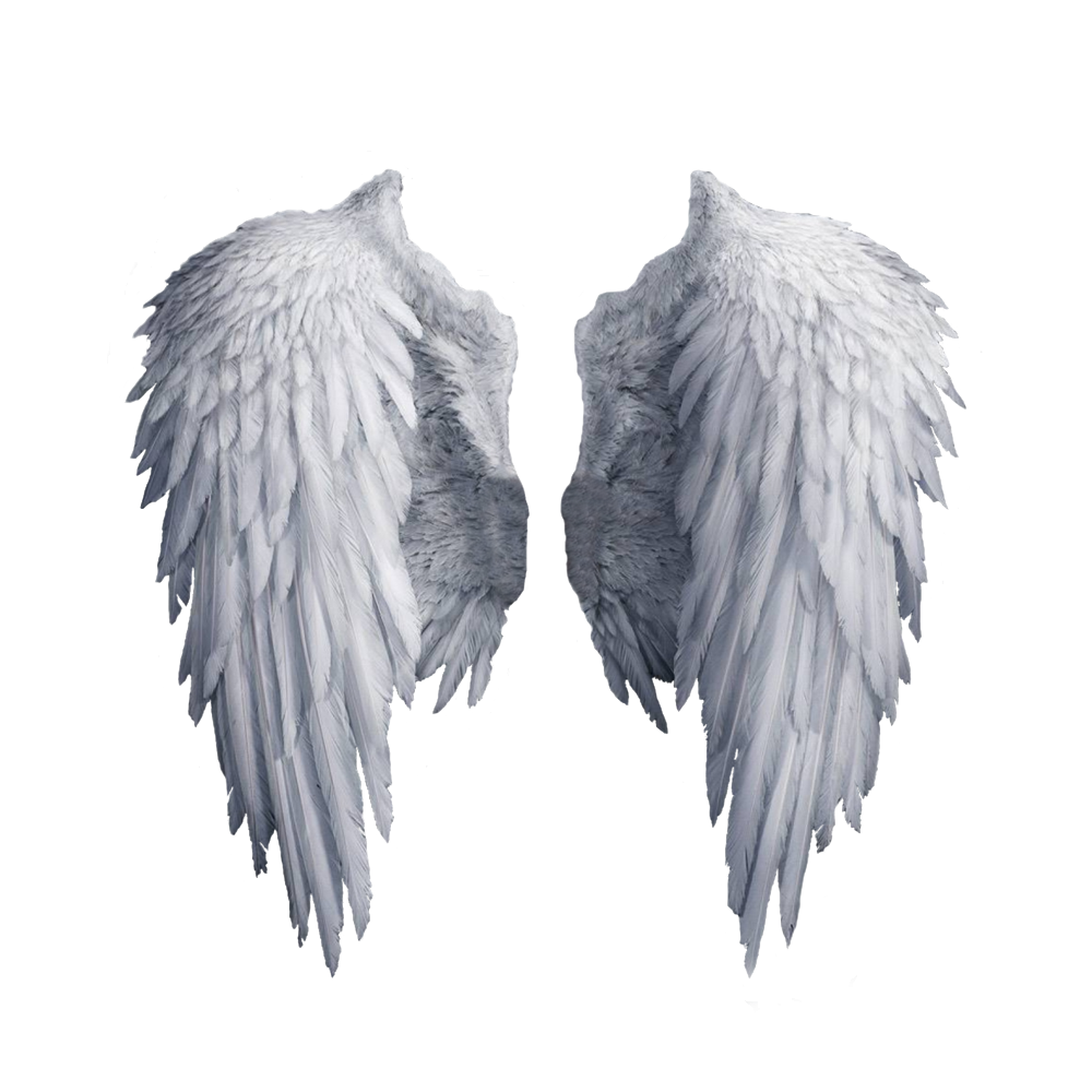 Halloween Angel Wing Transparent Image