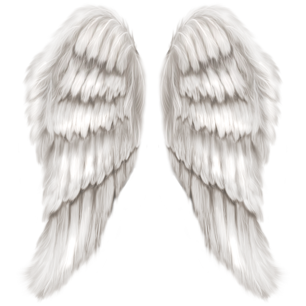 Halloween Angel Wing Transparent Clipart