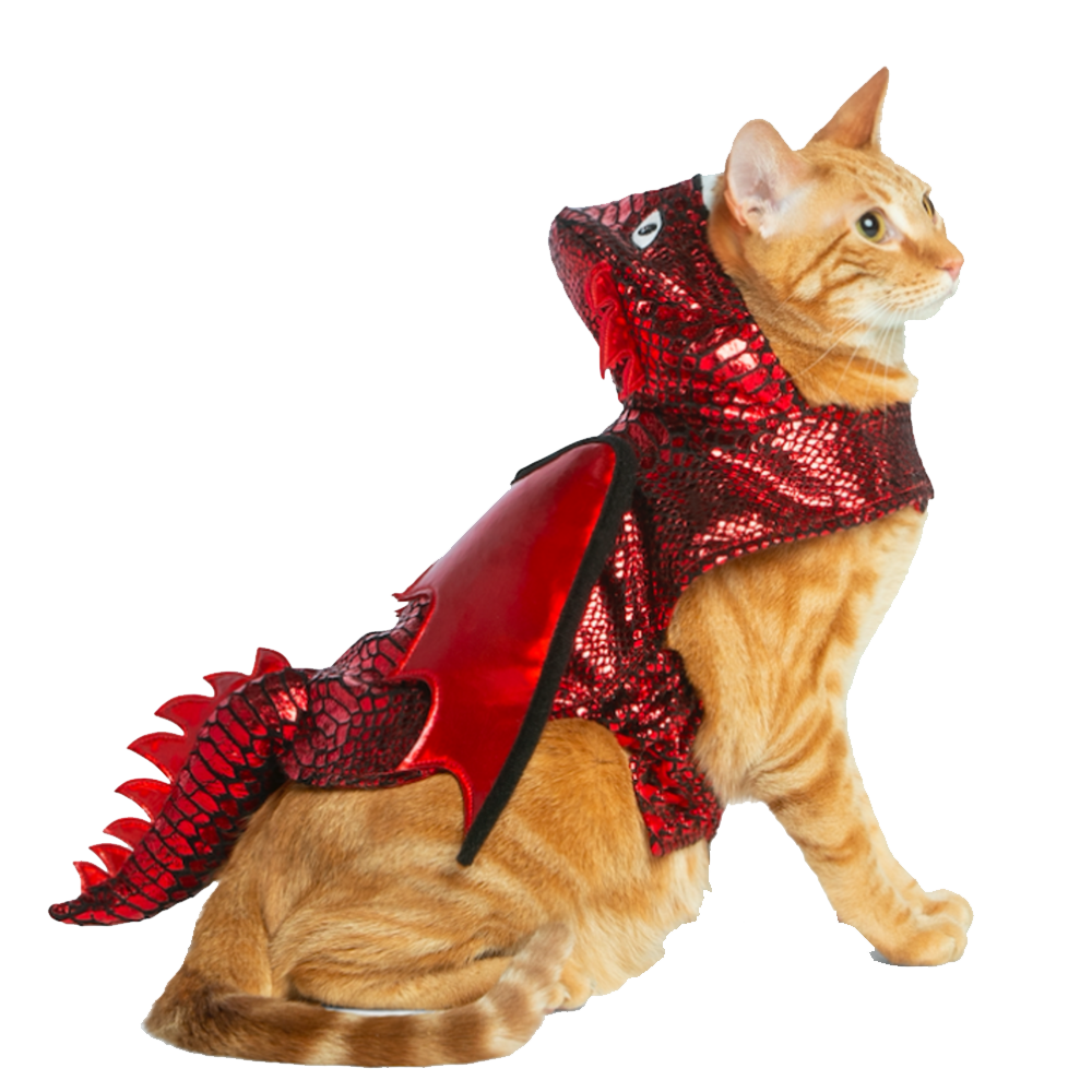 Halloween Cat Costume Transparent Gallery