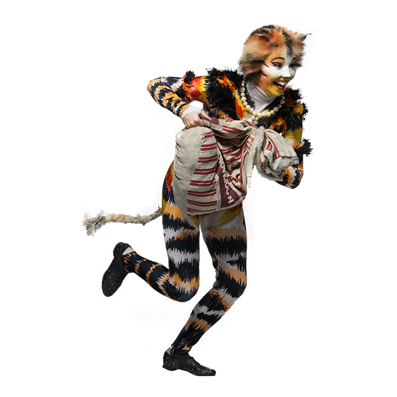 Halloween Cat Outfit  Transparent Clipart