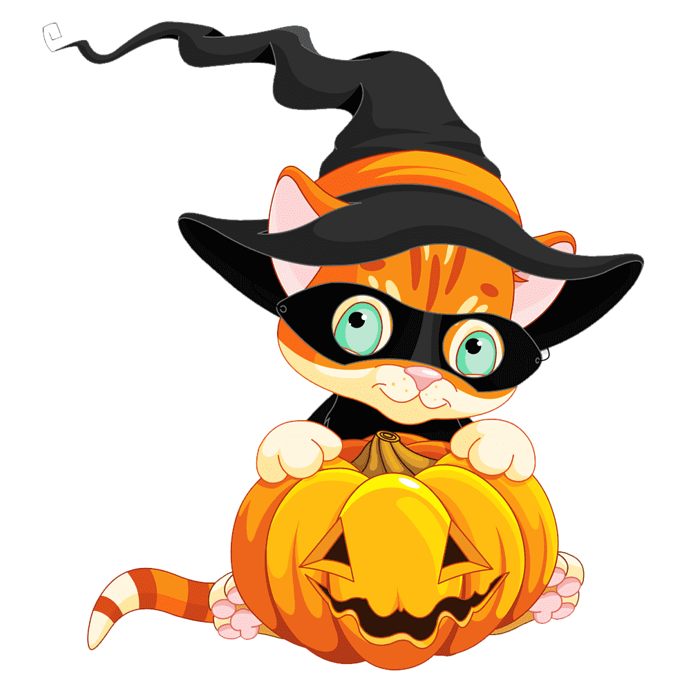 Halloween Cat With Pumpkin Transparent Photo