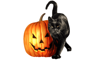 Halloween Cat With Pumpkin PNG