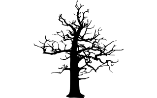 Halloween Dead Tree PNG