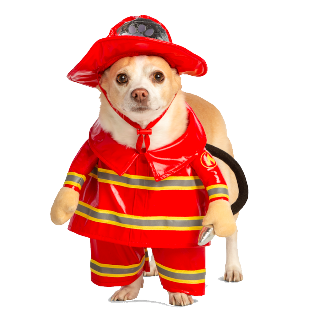Halloween Dog Costume Transparent Clipart