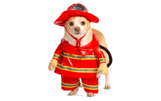 Halloween Dog Costume PNG