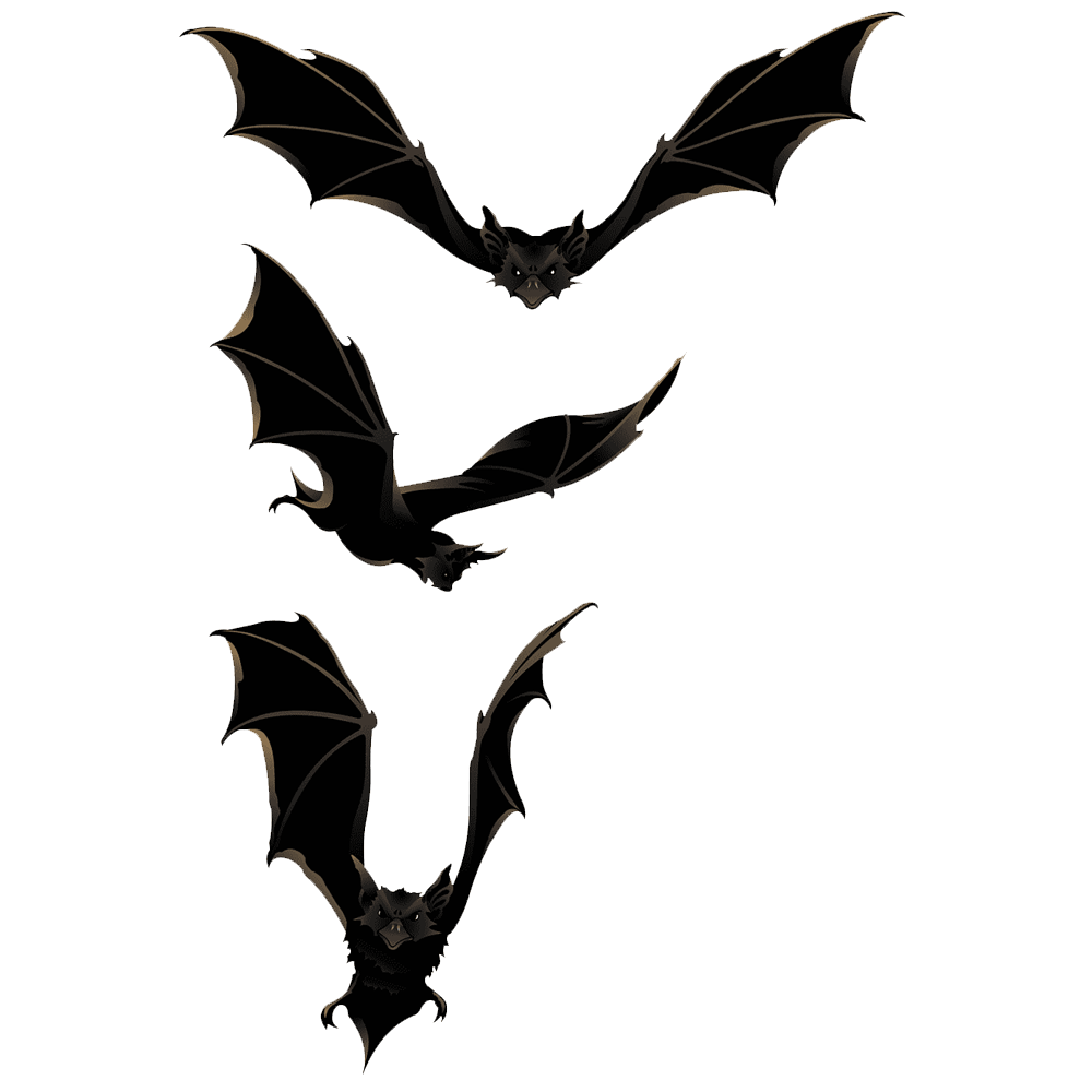 Halloween Flying Bat  Transparent Image