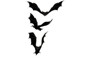 Halloween Flying Bat PNG
