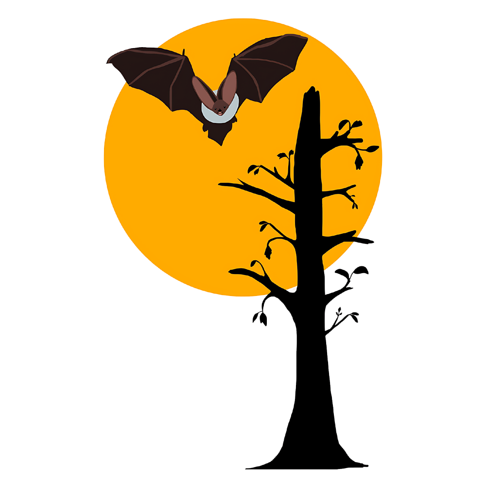 Halloween Moon With Bat  Transparent Gallery