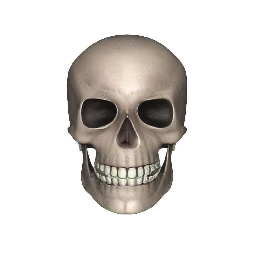 Halloween Skull Transparent Image