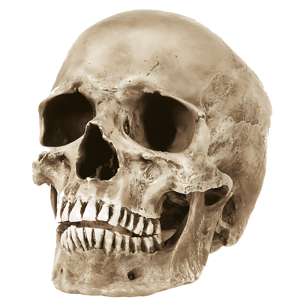 Halloween Skull Transparent Gallery