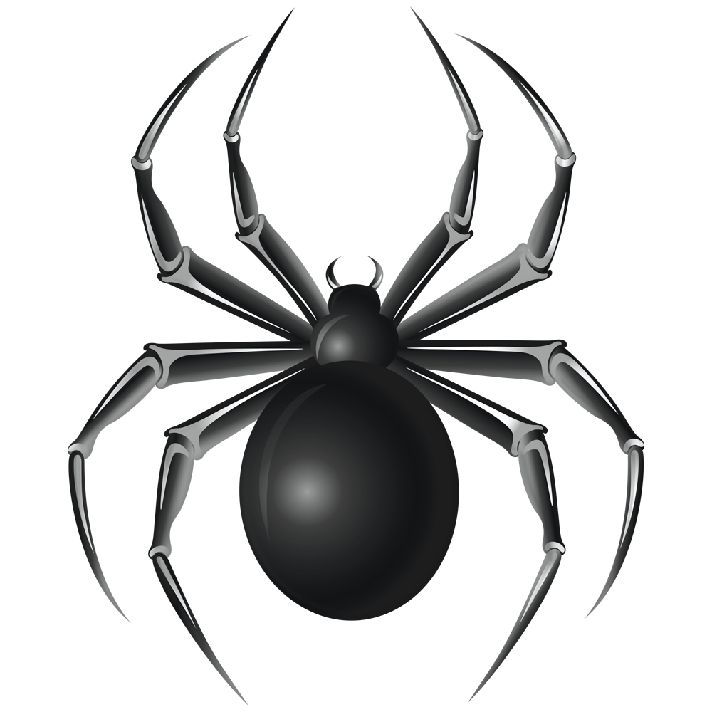 Halloween Spider Transparent Image