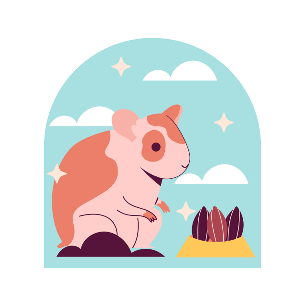 Hamster Free Sticker Transparent Gallery