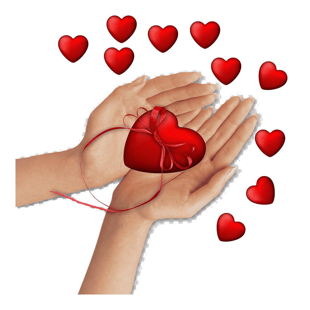 Heart In Hand Transparent Picture