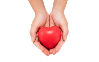 Heart In Hand PNG