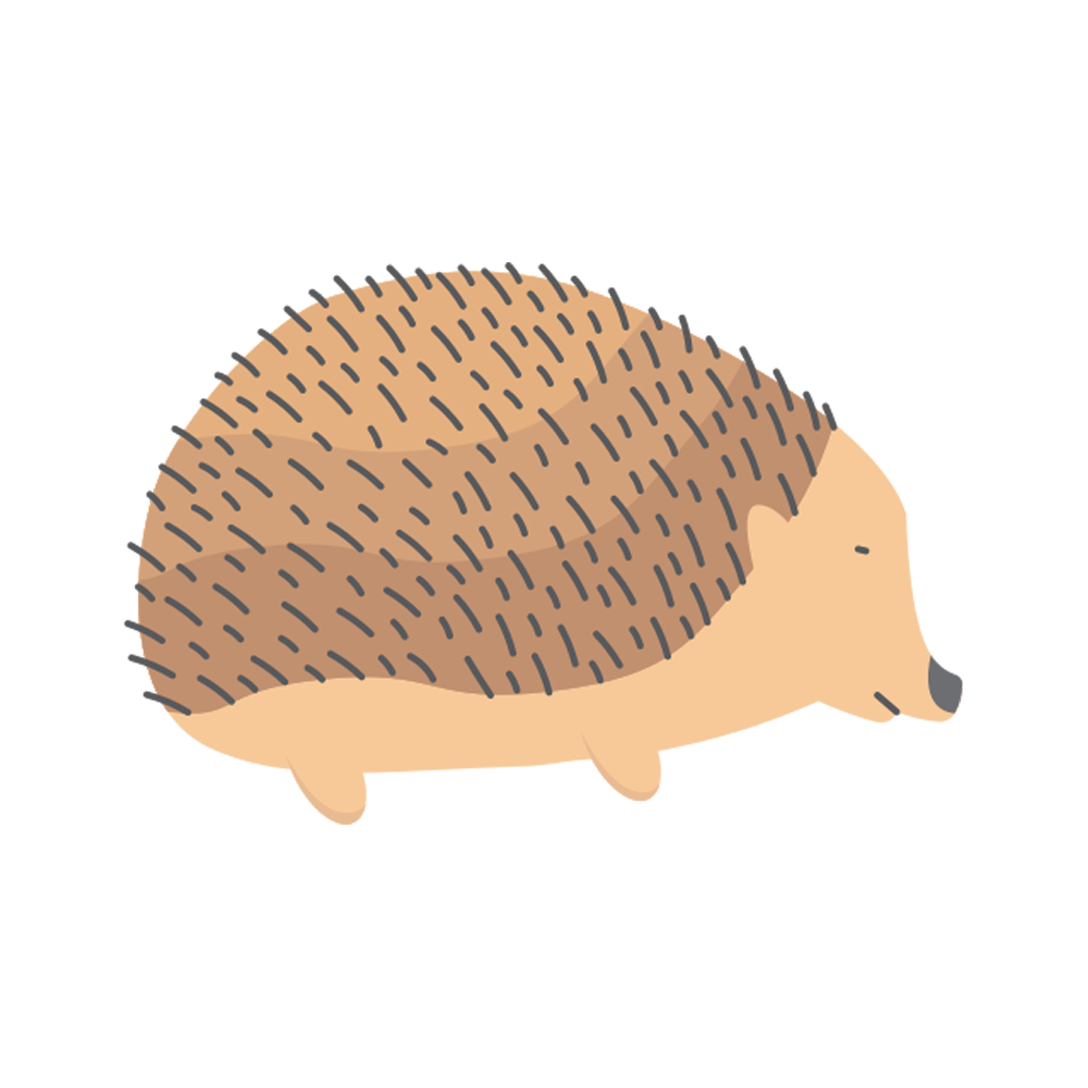 Hedgehog Free Sticker Transparent Gallery