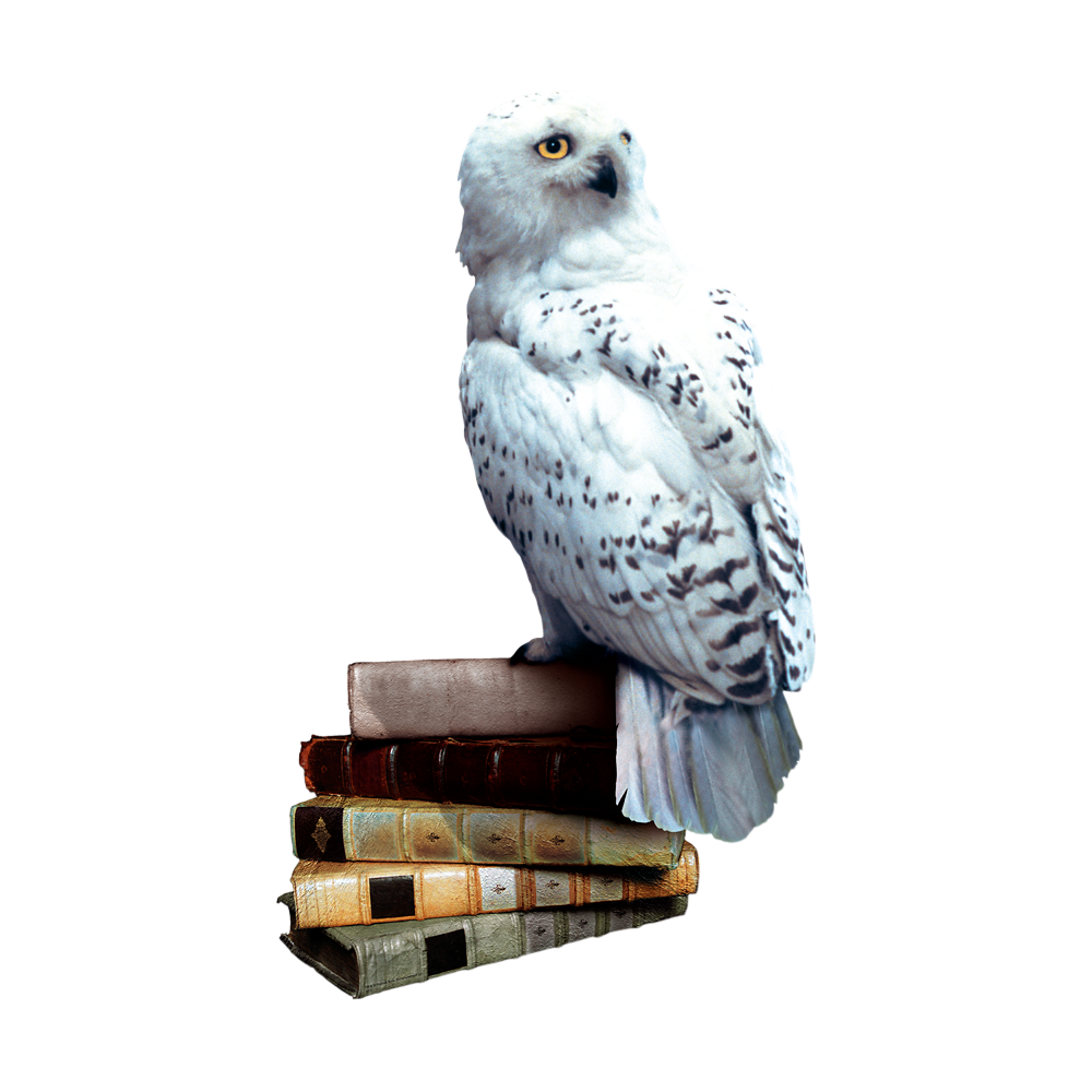 Hedwig Transparent Clipart
