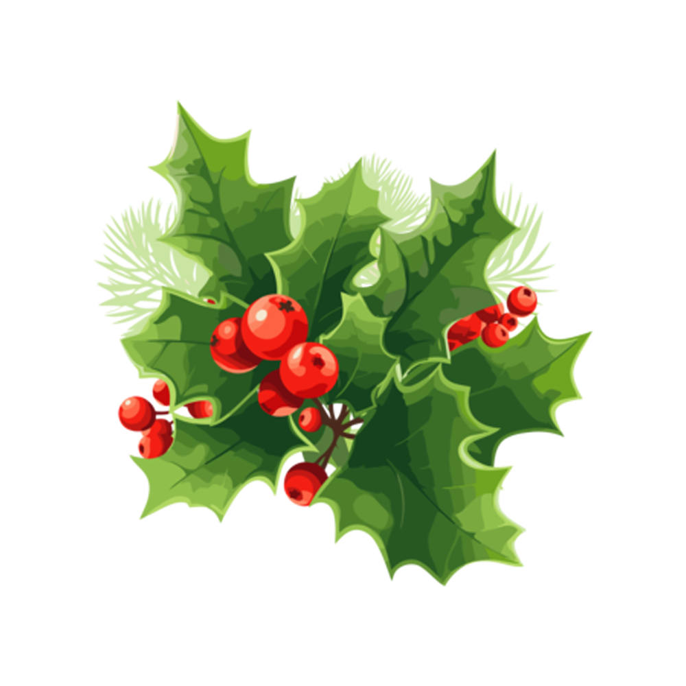 Holly Free Sticker Transparent Photo