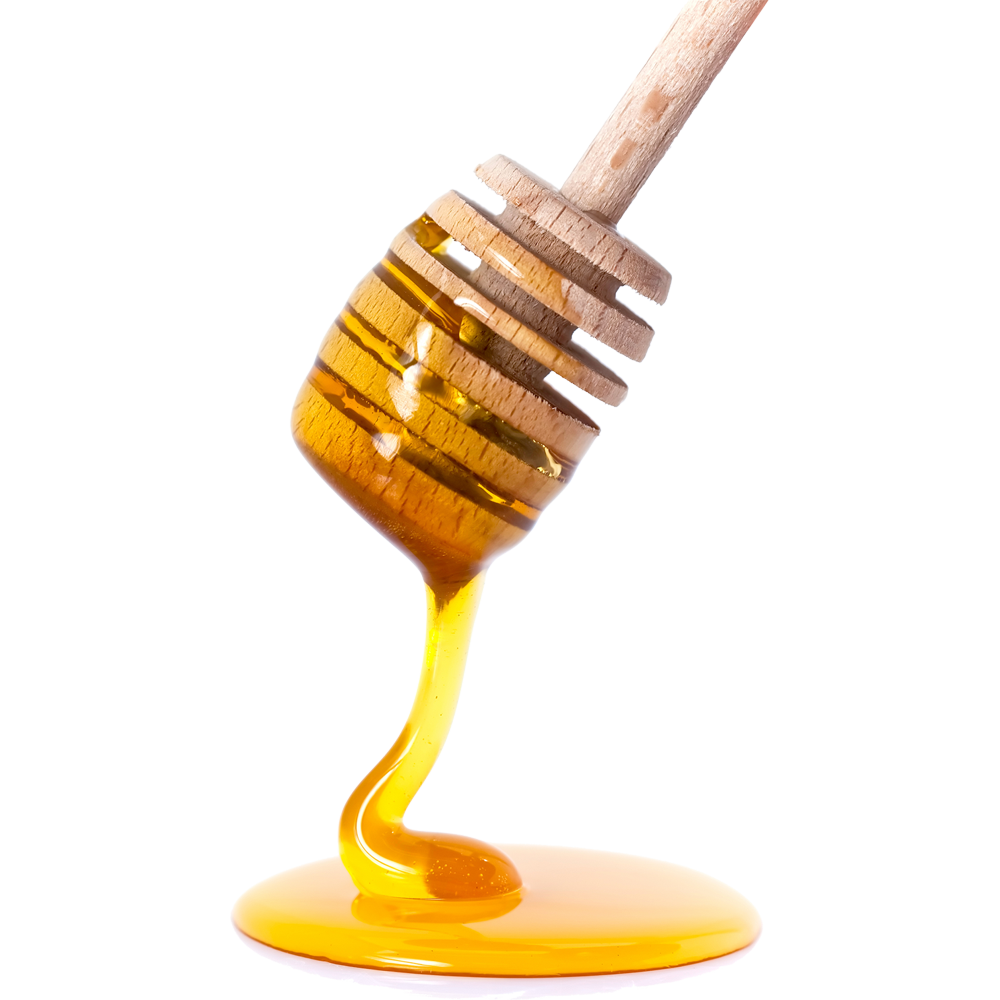 Honey Transparent Picture