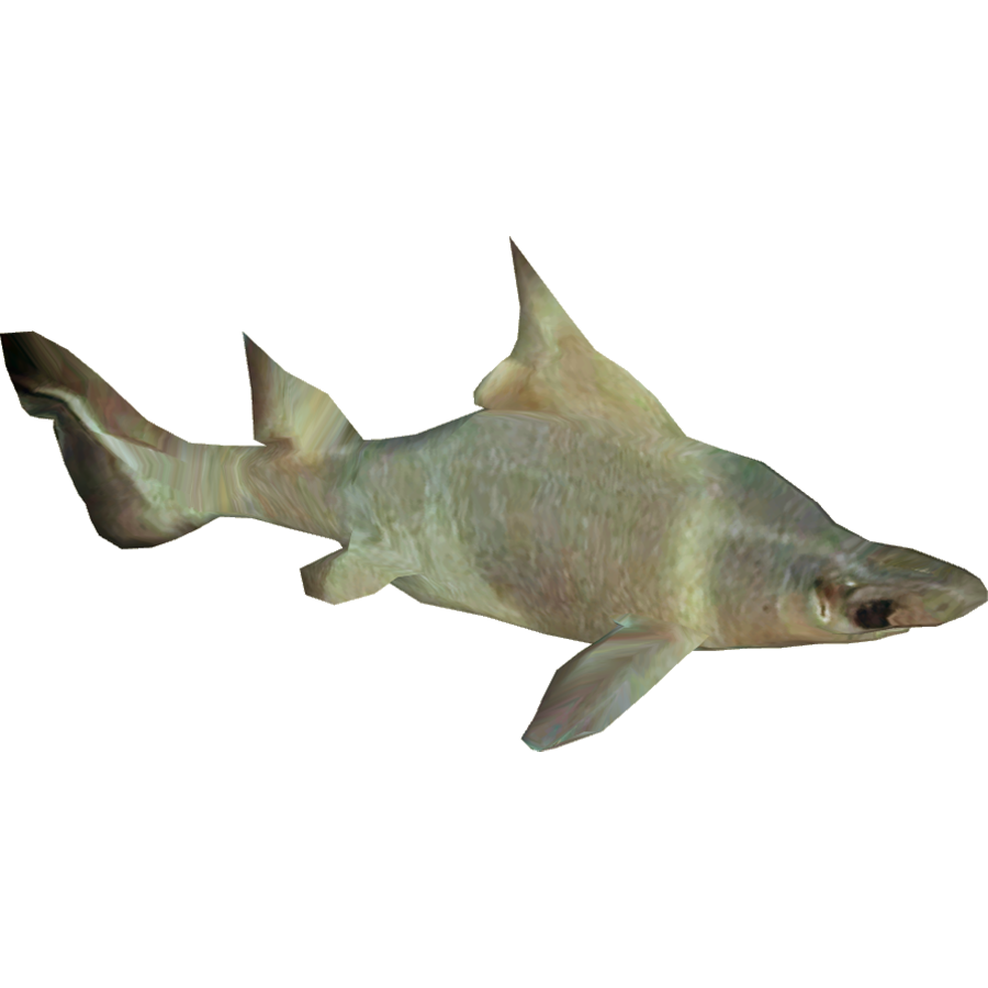 Horn Shark Transparent Photo