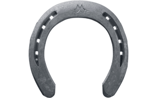 Horseshoe PNG