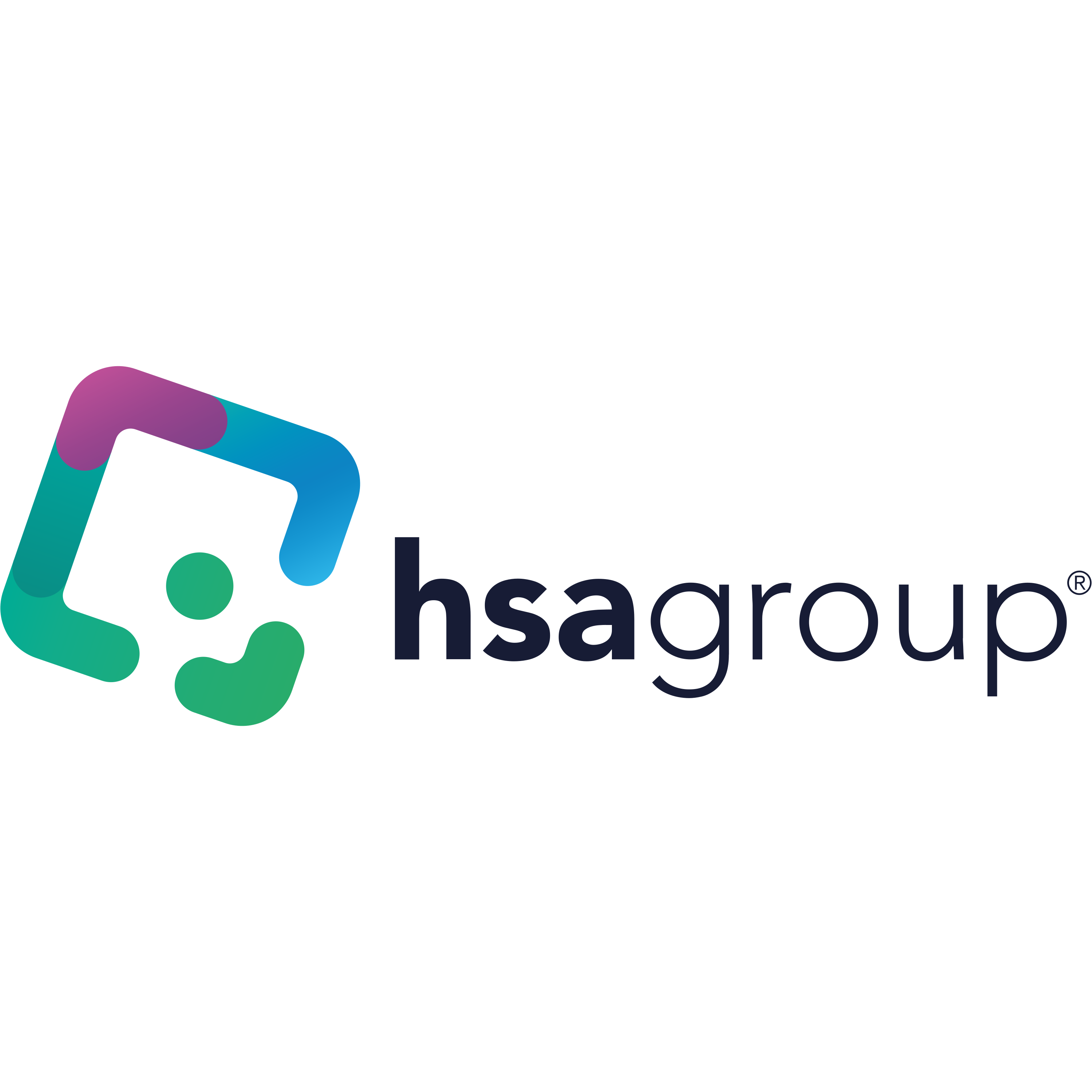 HSA Group Logo  Transparent Image